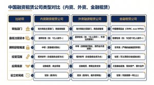 内资、外资、金融租赁三种公司类型6维度对比表
